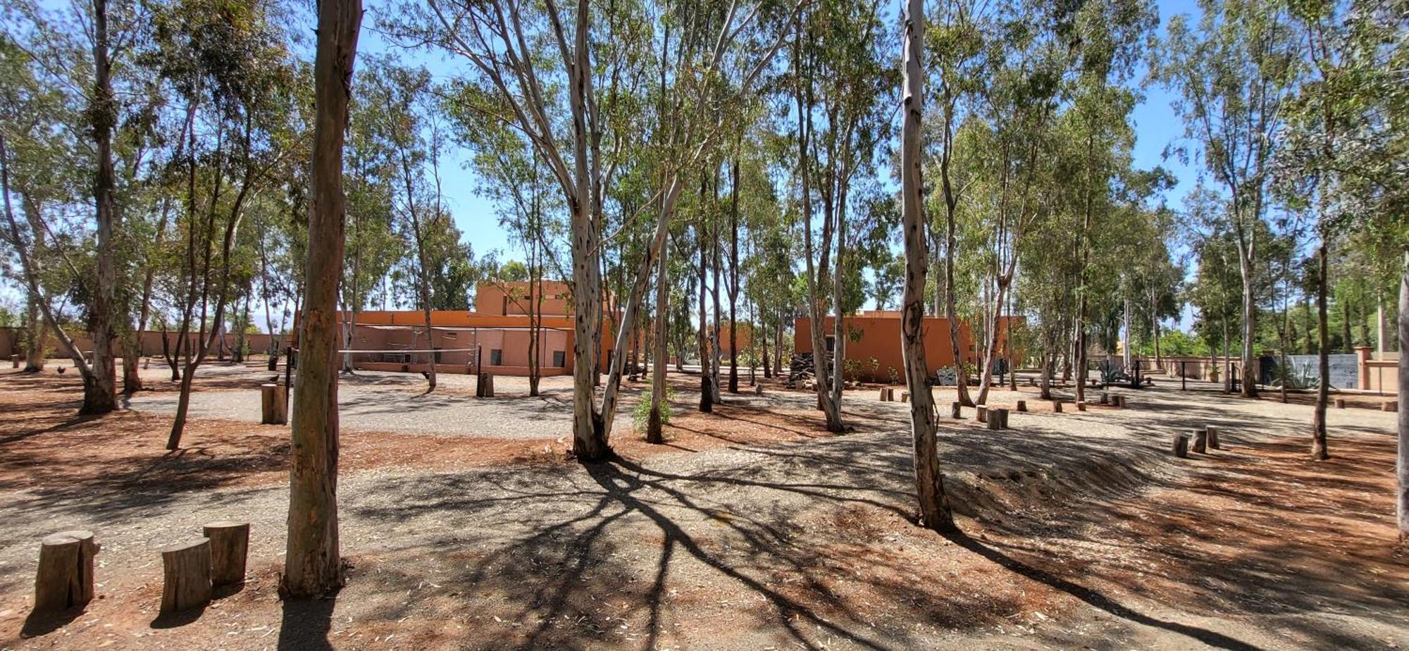 Le Jardin De Jeanne Villa Marrakesh Eksteriør billede
